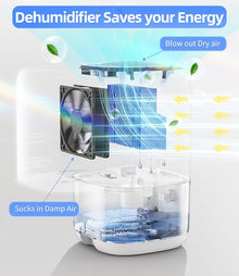 Dehumidifier, 35 OZ Small Dehumidifiers for Bedroom for Home