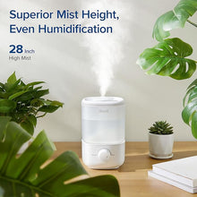 LEVOIT Top Fill Humidifiers for Bedroom